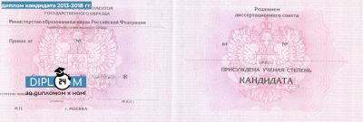 Диплом кандидата наук 2013-2018 гг.